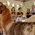 Ag Awareness Day Spotlight